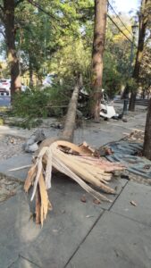 road accident dehradun